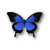 butterfly tube