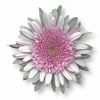 flower tube